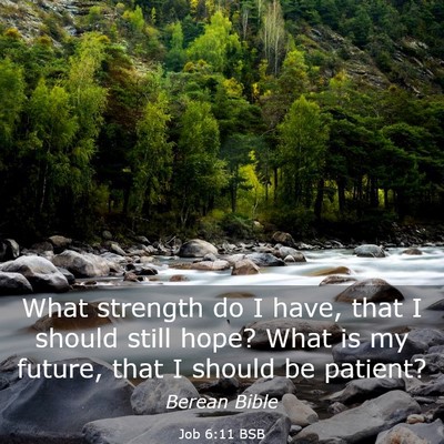 Picture 03 - Job 6:11 BSB - What strength do I have, that I should still - Bible Verse Picture