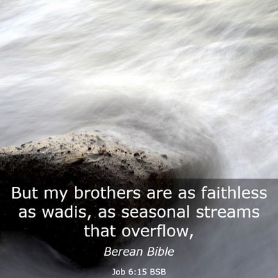 Picture 03 - Job 6:15 BSB - But my brothers are as faithless as wadis, as - Bible Verse Picture