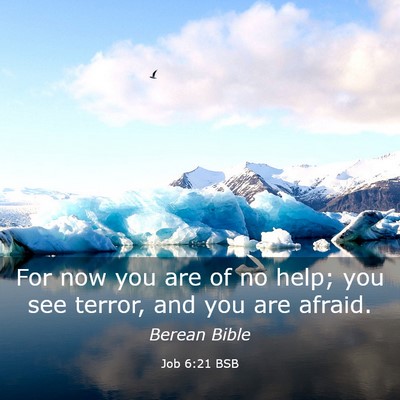Picture 03 - Job 6:21 BSB - For now you are of no help; you see terror, and - Bible Verse Picture