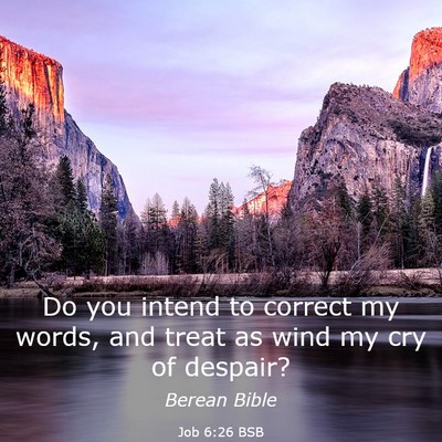 Picture 03 - Job 6:26 BSB - Do you intend to correct my words, and treat as - Bible Verse Picture