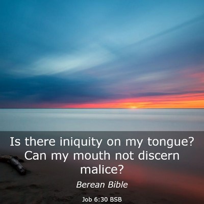 Picture 03 - Job 6:30 BSB - Is there iniquity on my tongue? Can my mouth not - Bible Verse Picture
