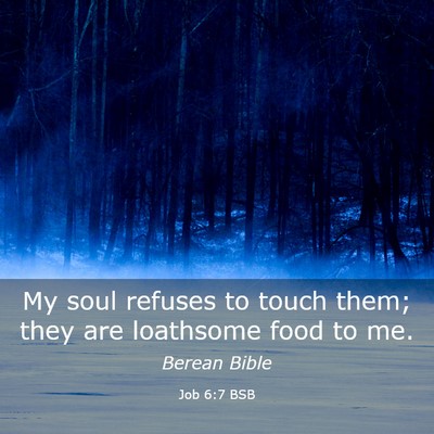 Picture 03 - Job 6:7 BSB - My soul refuses to touch them; they are loathsome - Bible Verse Picture