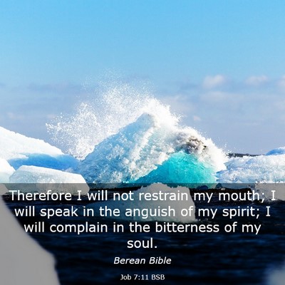 Picture 03 - Job 7:11 BSB - Therefore I will not restrain my mouth; I will - Bible Verse Picture