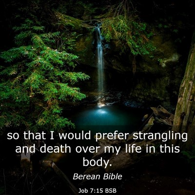 Picture 03 - Job 7:15 BSB - so that I would prefer strangling and death over - Bible Verse Picture