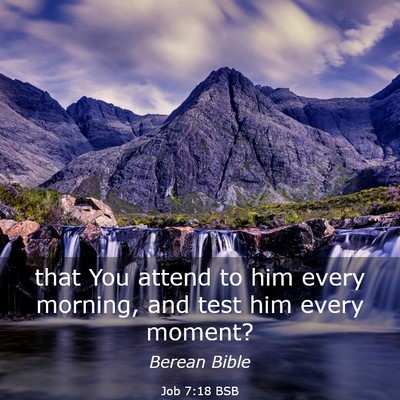 Picture 03 - Job 7:18 BSB - that You attend to him every morning, and test - Bible Verse Picture