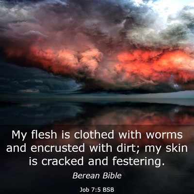 Picture 03 - Job 7:5 BSB - My flesh is clothed with worms and encrusted with - Bible Verse Picture