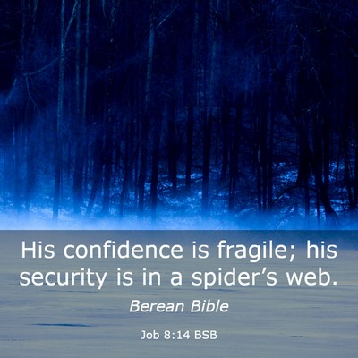 Picture 03 - Job 8:14 BSB - His confidence is fragile; his security is in a - Bible Verse Picture