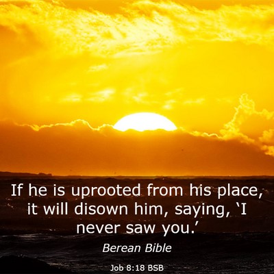 Picture 03 - Job 8:18 BSB - If he is uprooted from his place, it will disown - Bible Verse Picture