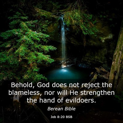 Picture 03 - Job 8:20 BSB - Behold, God does not reject the blameless, nor - Bible Verse Picture