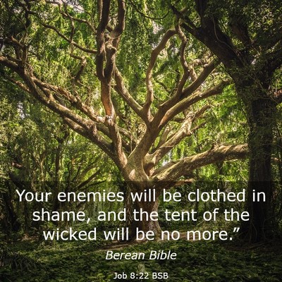 Picture 03 - Job 8:22 BSB - Your enemies will be clothed in shame, and the - Bible Verse Picture