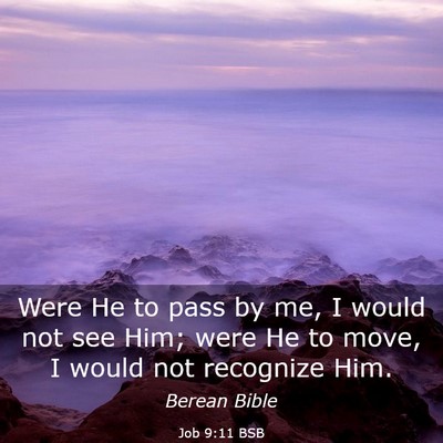 Picture 03 - Job 9:11 BSB - Were He to pass by me, I would not see Him; were - Bible Verse Picture