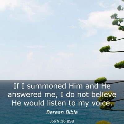 Picture 03 - Job 9:16 BSB - If I summoned Him and He answered me, I do not - Bible Verse Picture