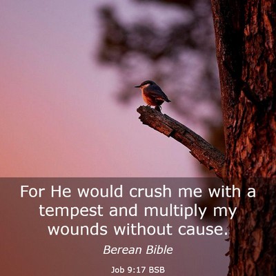 Picture 03 - Job 9:17 BSB - For He would crush me with a tempest and multiply - Bible Verse Picture