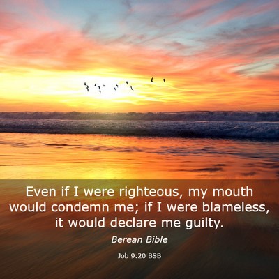 Picture 03 - Job 9:20 BSB - Even if I were righteous, my mouth would condemn - Bible Verse Picture