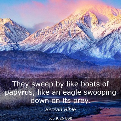 Picture 03 - Job 9:26 BSB - They sweep by like boats of papyrus, like an - Bible Verse Picture