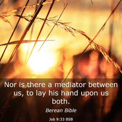 Picture 03 - Job 9:33 BSB - Nor is there a mediator between us, to lay his - Bible Verse Picture