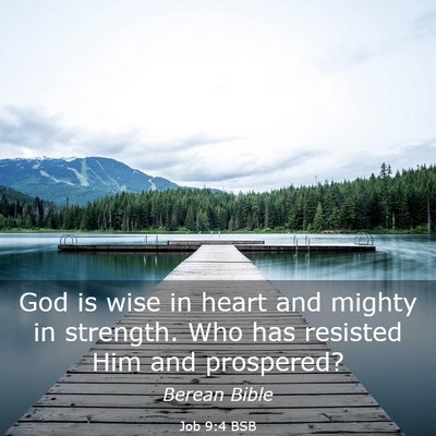Picture 03 - Job 9:4 BSB - God is wise in heart and mighty in strength. Who - Bible Verse Picture