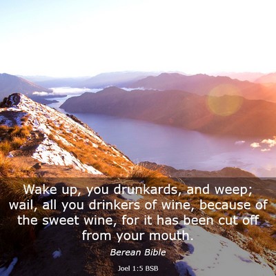 Picture 03 - Joel 1:5 BSB - Wake up, you drunkards, and weep; wail, all you - Bible Verse Picture