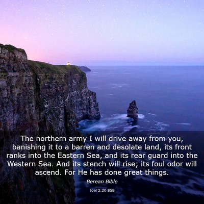 Picture 03 - Joel 2:20 BSB - The northern army I will drive away from you, - Bible Verse Picture