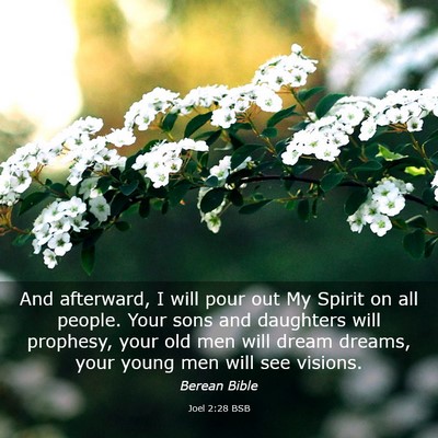 Picture 03 - Joel 2:28 BSB - And afterward, I will pour out My Spirit on all - Bible Verse Picture