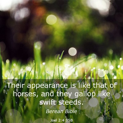 Picture 03 - Joel 2:4 BSB - Their appearance is like that of horses, and they - Bible Verse Picture