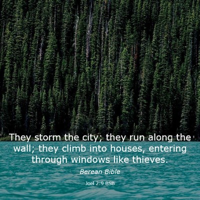 Picture 03 - Joel 2:9 BSB - They storm the city; they run along the wall; - Bible Verse Picture