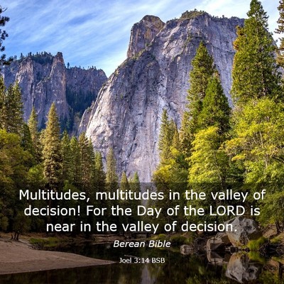 Picture 03 - Joel 3:14 BSB - Multitudes, multitudes in the valley of decision! - Bible Verse Picture