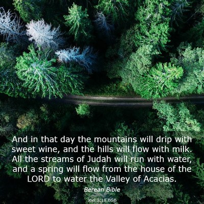 Picture 03 - Joel 3:18 BSB - And in that day the mountains will drip with - Bible Verse Picture