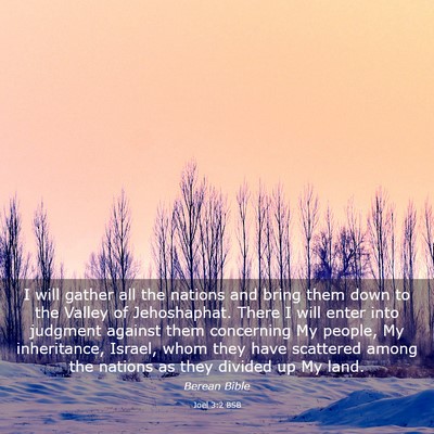 Picture 03 - Joel 3:2 BSB - I will gather all the nations and bring them down - Bible Verse Picture