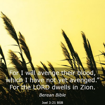 Picture 03 - Joel 3:21 BSB - For I will avenge their blood, which I have not - Bible Verse Picture