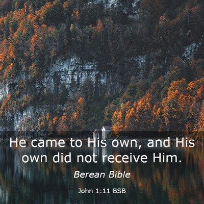Picture 03 - John 1:11 BSB - He came to His own, and His own did not receive - Bible Verse Picture