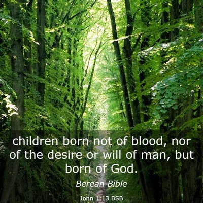 Picture 03 - John 1:13 BSB - children born not of blood, nor of the desire or - Bible Verse Picture