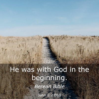 Picture 03 - John 1:2 BSB - He was with God in the - Bible Verse Picture