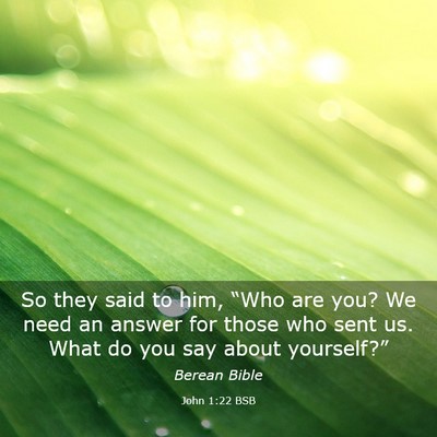 Picture 03 - John 1:22 BSB - So they said to him, “Who are you? We need an - Bible Verse Picture
