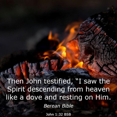 Picture 03 - John 1:32 BSB - Then John testified, “I saw the Spirit - Bible Verse Picture