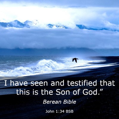 Picture 03 - John 1:34 BSB - I have seen and testified that this is the Son of - Bible Verse Picture