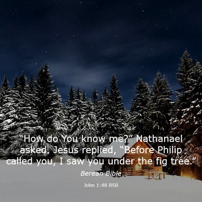 Picture 03 - John 1:48 BSB - “How do You know me?” Nathanael asked. Jesus - Bible Verse Picture