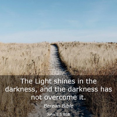 Picture 03 - John 1:5 BSB - The Light shines in the darkness, and the - Bible Verse Picture