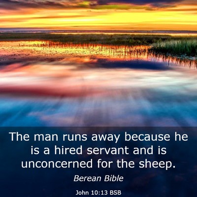 Picture 03 - John 10:13 BSB - The man runs away because he is a hired servant - Bible Verse Picture