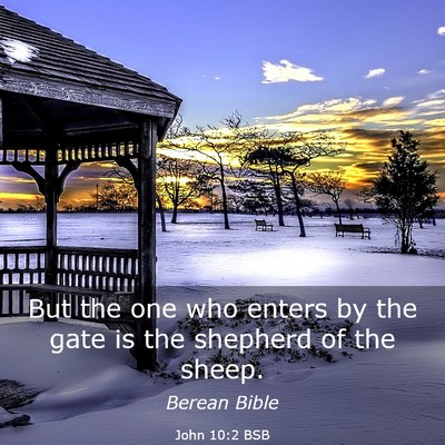 Picture 03 - John 10:2 BSB - But the one who enters by the gate is the - Bible Verse Picture