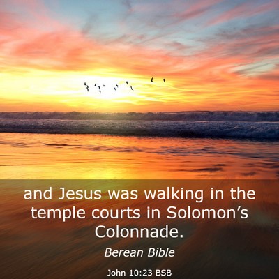 Picture 03 - John 10:23 BSB - and Jesus was walking in the temple courts in - Bible Verse Picture