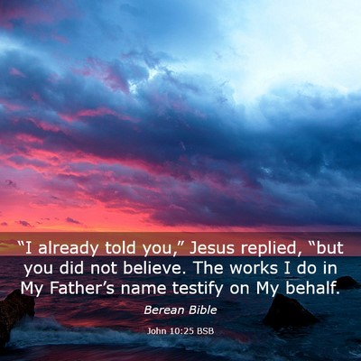 Picture 03 - John 10:25 BSB - “I already told you,” Jesus replied, “but - Bible Verse Picture