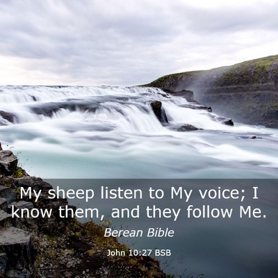 Picture 03 - John 10:27 BSB - My sheep listen to My voice; I know them, and - Bible Verse Picture