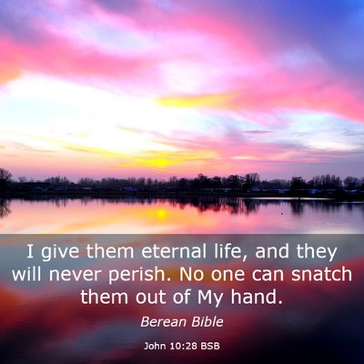 Picture 03 - John 10:28 BSB - I give them eternal life, and they will never - Bible Verse Picture