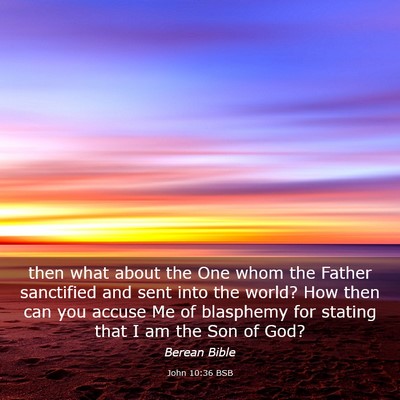 Picture 03 - John 10:36 BSB - then what about the One whom the Father - Bible Verse Picture