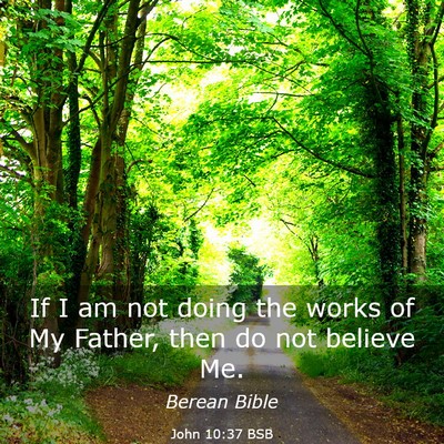 Picture 03 - John 10:37 BSB - If I am not doing the works of My Father, then do - Bible Verse Picture