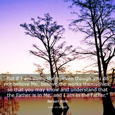Picture 03 - John 10:38 BSB - But if I am doing them, even though you do not - Bible Verse Picture