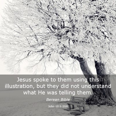 Picture 03 - John 10:6 BSB - Jesus spoke to them using this illustration, but - Bible Verse Picture