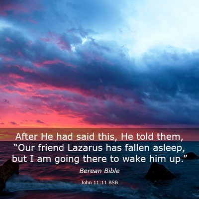 Picture 03 - John 11:11 BSB - After He had said this, He told them, “Our - Bible Verse Picture