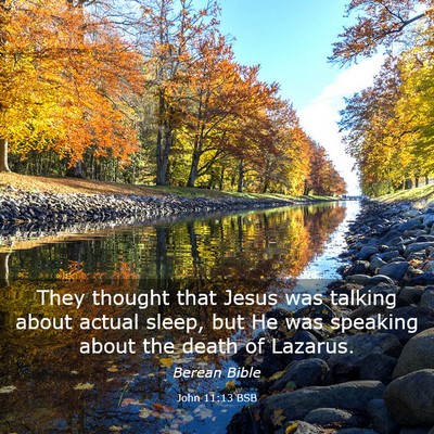 Picture 03 - John 11:13 BSB - They thought that Jesus was talking about actual - Bible Verse Picture